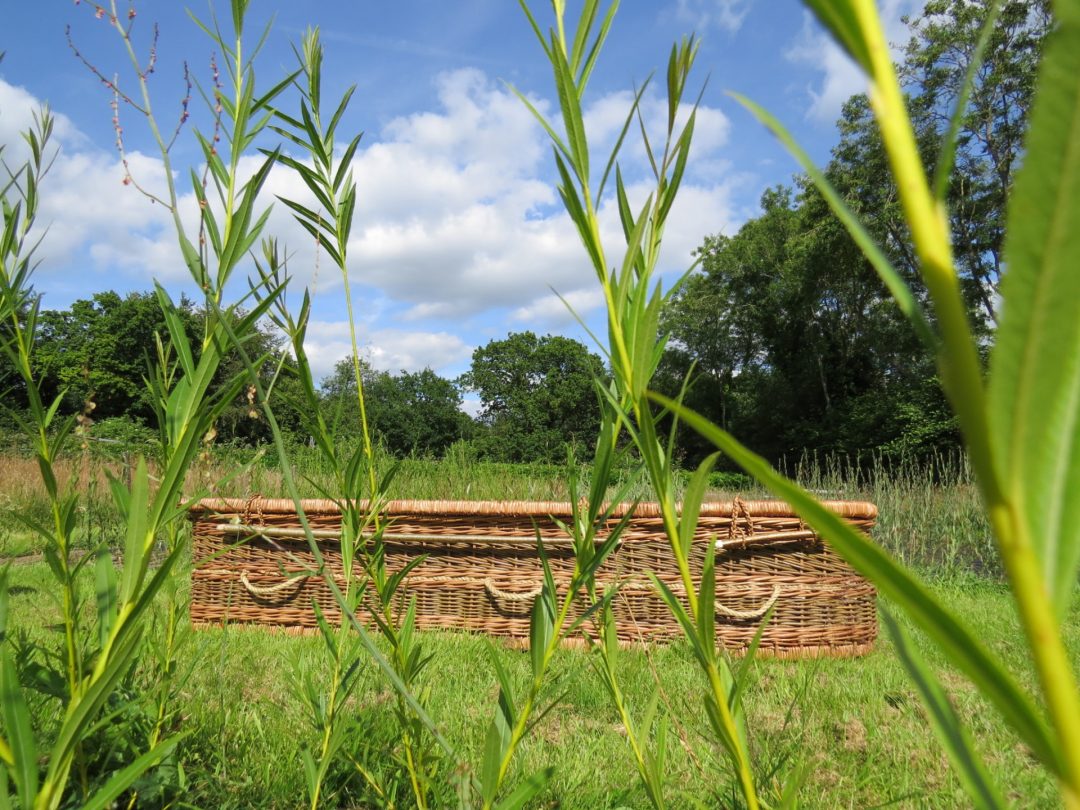 Willow Coffin from Natural English Willow | Sussex Willow Coffins