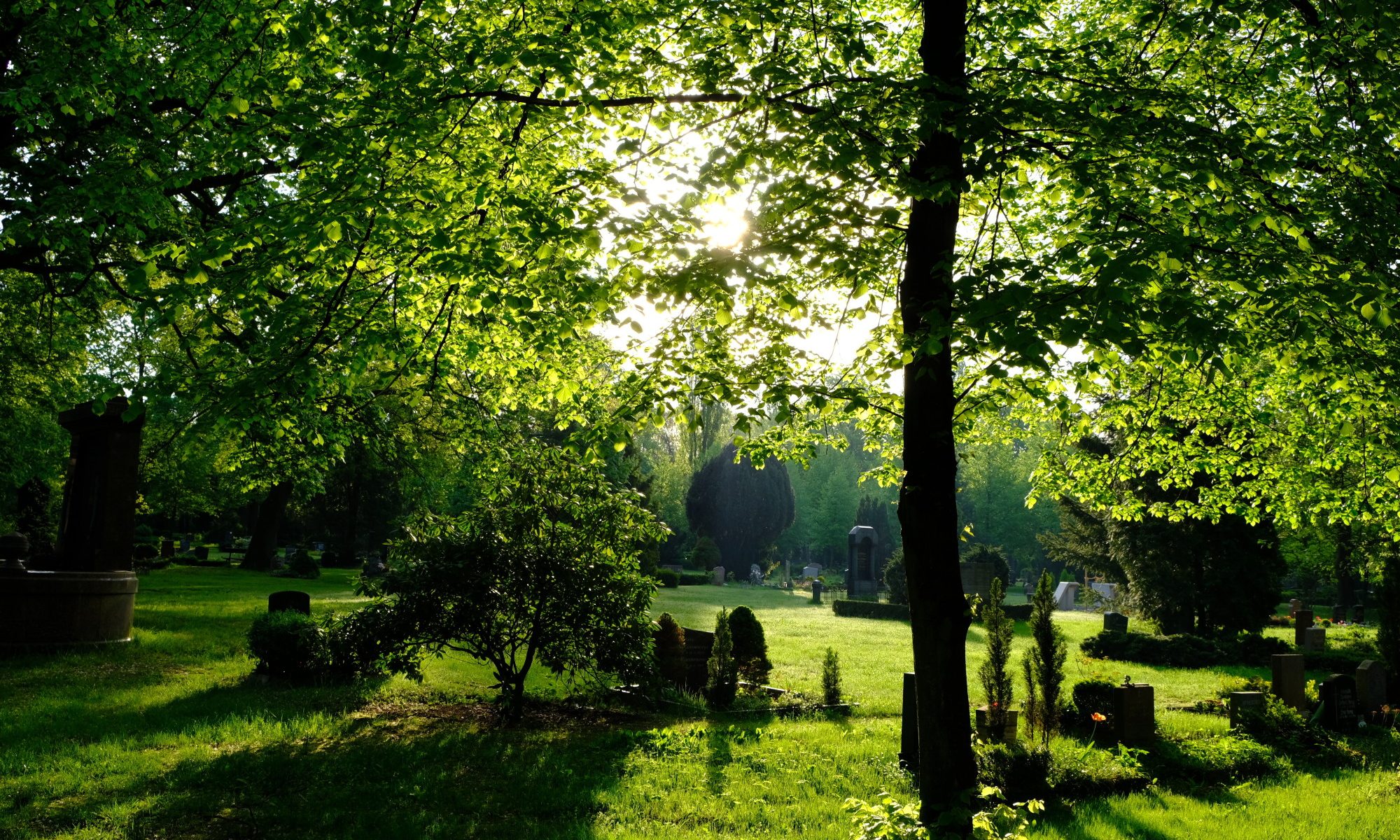 green burial options